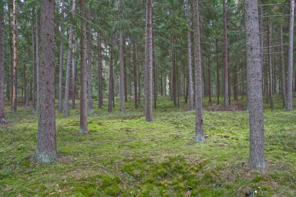 Agroturystyka Skoszewo Eksteriør billede